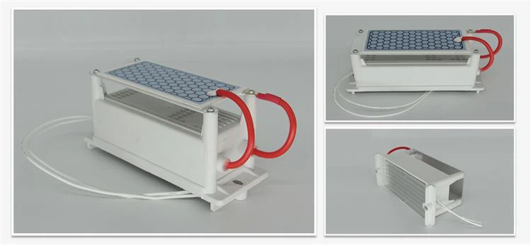 details of 5g ozone generator