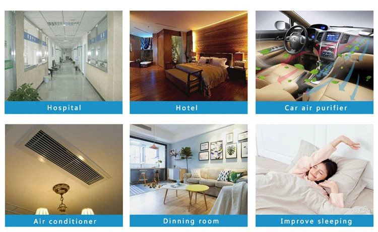 negative ion generator applicaiton