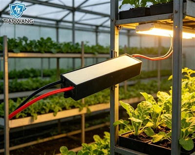 High Voltage Electrostatic Generator For Agriculture: A Smart Solution For Gr...